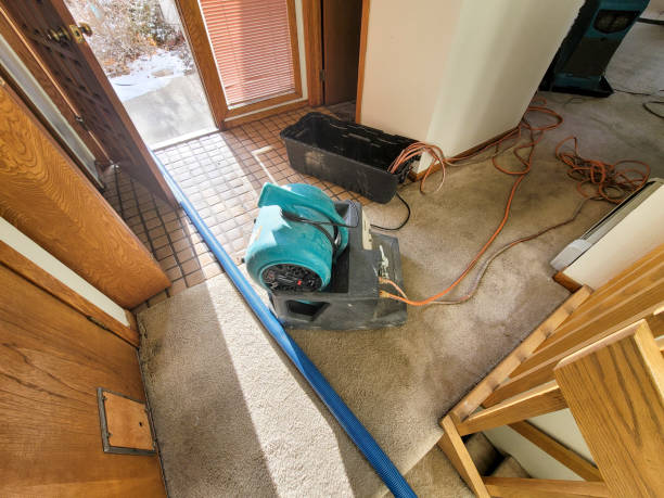 Professional Water damage restoration in St Regis Park, KY